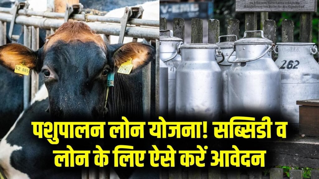 Dairy Farming Loan Scheme Form: पशुपालन के लिए मिलेगा सब्सिडी के साथ लोन! फॉर्म और स्कीम की डिटेल देखें