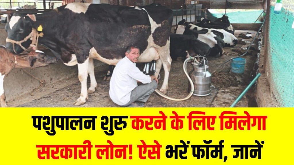 Dairy Loan: पशुपालन शुरू करने के लिए मिलेगा सरकारी लोन! ऐसे भरें फॉर्म, सब्सिडी की डिटेल जानें