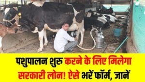 Dairy Loan: पशुपालन शुरू करने के लिए मिलेगा सरकारी लोन! ऐसे भरें फॉर्म, सब्सिडी की डिटेल जानें