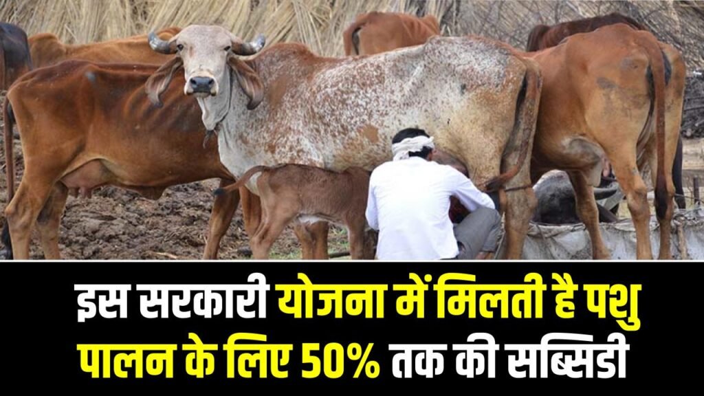 पशुपालकों के लिए सुनहरा मौका! इस सरकारी योजना में मिलती है पशु पालन के लिए 50% तक की सब्सिडी