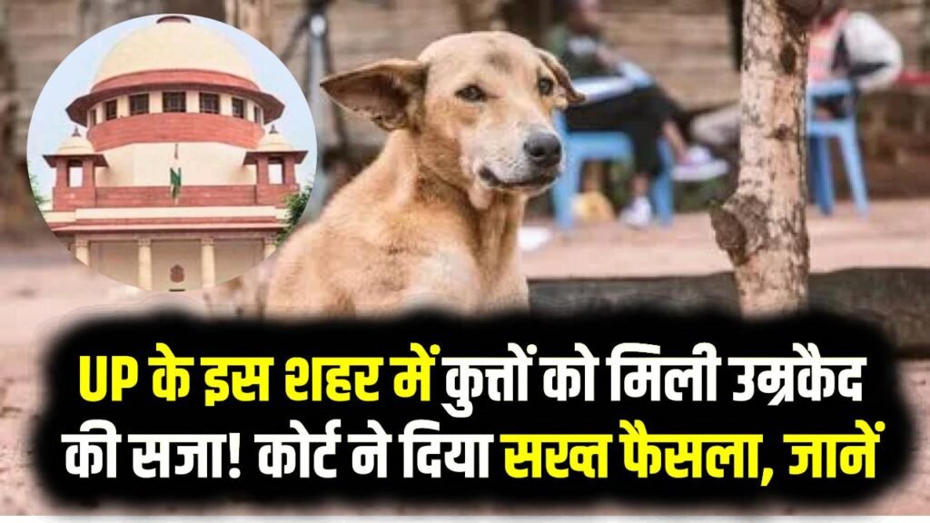 UP के इस शहर में कुत्तों को मिली उम्रकैद की सजा! जानें किस मामले में कोर्ट ने दिया सख्त फैसला