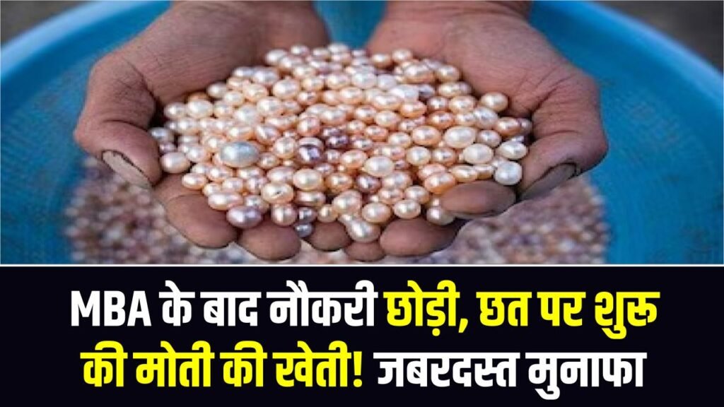 MBA के बाद नौकरी छोड़ी, छत पर शुरू की मोती की खेती! ₹45 की लागत में ₹150 का मुनाफा 1 MBA के बाद नौकरी छोड़ी, छत पर शुरू की मोती की खेती! ₹45 की लागत में ₹150 का मुनाफा