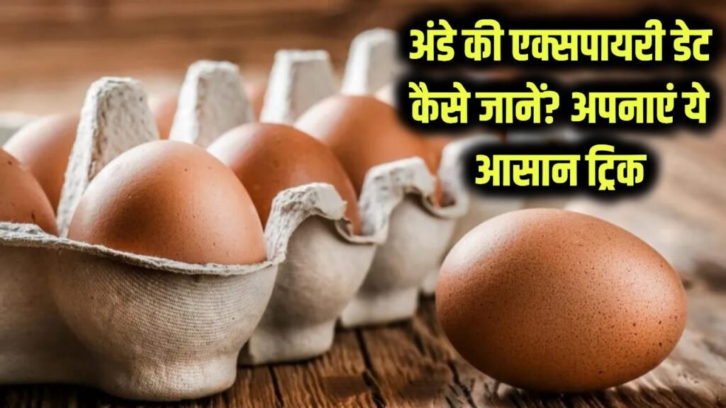 क्या आपको पता है अंडे की भी होती है ‘एक्सपायरी डेट’? इस आसान ट्रिक से जानें अंडा फ्रेश है या खराब!