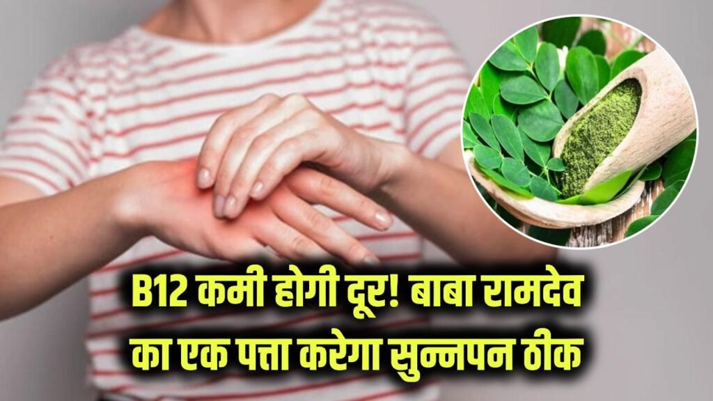 moringa leaves may help improve vitamin b12 deficiency