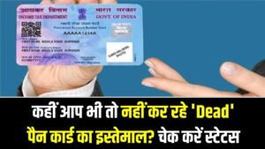 कहीं आप भी तो नहीं कर रहे 'Dead' पैन कार्ड का इस्तेमाल? जेल और जुर्माने से बचने के लिए चेक करें स्टेटस