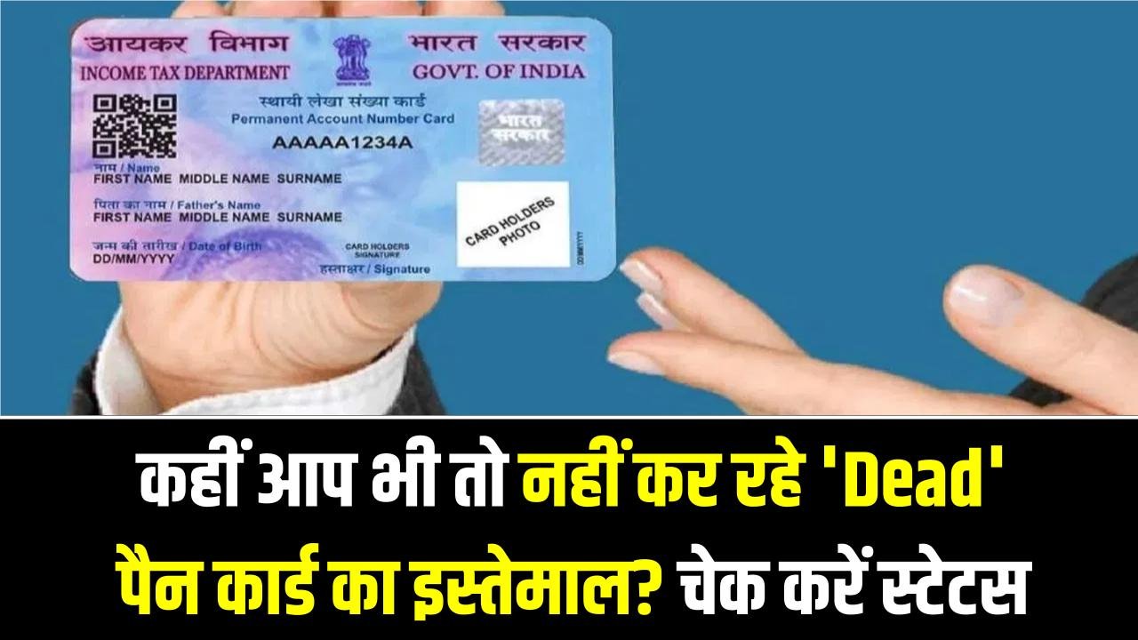 कहीं आप भी तो नहीं कर रहे 'Dead' पैन कार्ड का इस्तेमाल? जेल और जुर्माने से बचने के लिए चेक करें स्टेटस