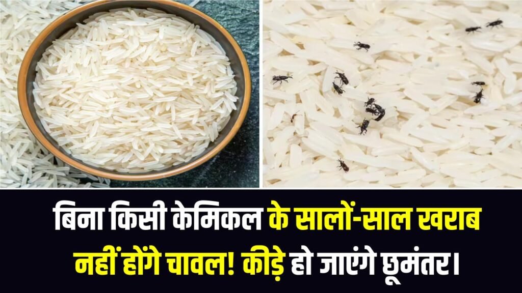 बिना किसी केमिकल के सालों-साल खराब नहीं होंगे चावल! दादी-नानी के इन 5 तरीकों से घुन और कीड़े हो जाएंगे छूमंतर। 1 बिना किसी केमिकल के सालों-साल खराब नहीं होंगे चावल! दादी-नानी के इन 5 तरीकों से घुन और कीड़े हो जाएंगे छूमंतर।
