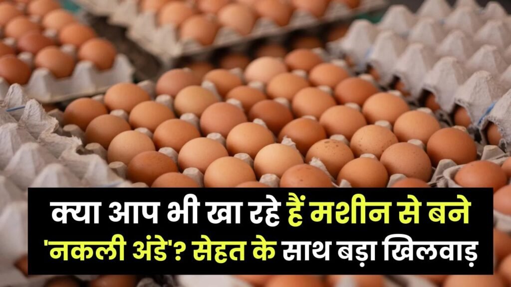 Fake Eggs Reality: क्या आप भी खा रहे हैं मशीन से बने 'नकली अंडे'? सेहत के साथ बड़ा खिलवाड़, इन 5 तरीकों से करें असली-नकली की पहचान 1 Fake Eggs Reality: क्या आप भी खा रहे हैं मशीन से बने 'नकली अंडे'? सेहत के साथ बड़ा खिलवाड़, इन 5 तरीकों से करें असली-नकली की पहचान
