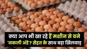 Fake Eggs Reality: क्या आप भी खा रहे हैं मशीन से बने 'नकली अंडे'? सेहत के साथ बड़ा खिलवाड़, इन 5 तरीकों से करें असली-नकली की पहचान 9 Fake Eggs Reality: क्या आप भी खा रहे हैं मशीन से बने 'नकली अंडे'? सेहत के साथ बड़ा खिलवाड़, इन 5 तरीकों से करें असली-नकली की पहचान