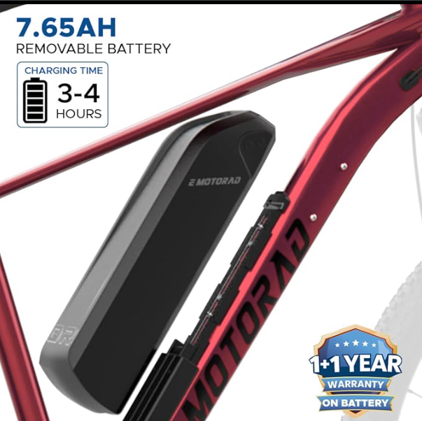 Tata E-Cycle Pro 2025 Battery